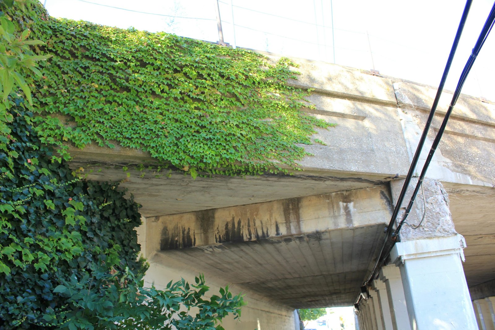 South span (span #1)